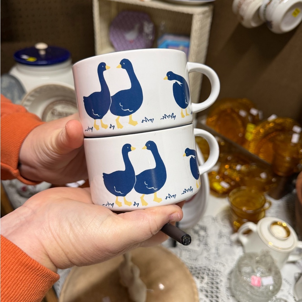 Charming Blue Goose Mugs